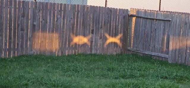 Light on the fence. The Word: "symbols on my fence."