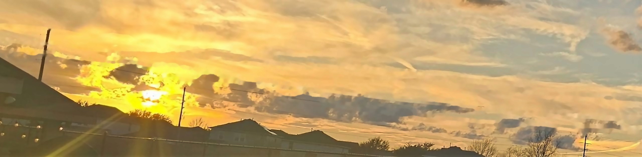 The photograph · 1 February 2024 · enhanced copy: power lines removed, colours lifted; the phone original is in the Garden